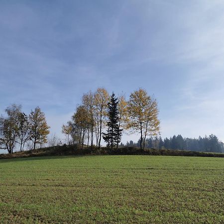 Kindererlebnis- Und Biobauernhof Hipp-Bruckner Wornharts Εξωτερικό φωτογραφία